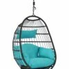 Top 10 😀 Sunnydaze Penelope Hanging Egg Chair With Seat Cushions Home Seating 🤩